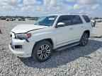 2024 TOYOTA 4Runner