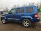 2010 JEEP Liberty