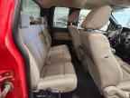 2009 FORD F-150