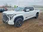 2023 TOYOTA TUNDRA