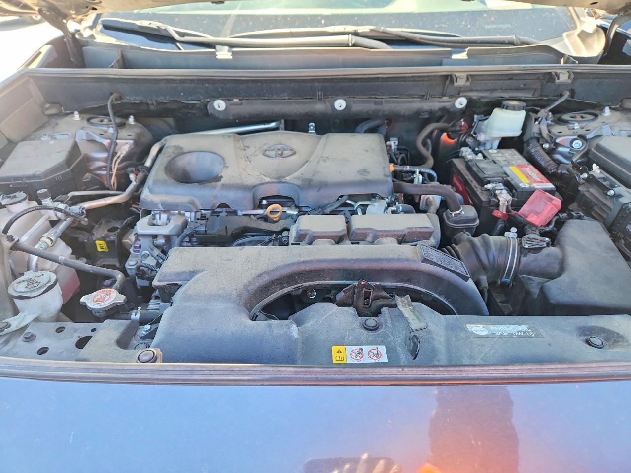 2019 TOYOTA RAV4