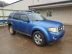 2009 FORD ESCAPE