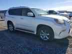 2014 LEXUS GX 460