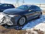 2023 LEXUS ES 300H