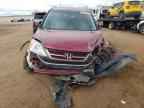 2010 HONDA CR-V
