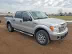 2014 FORD F-150 Lightning