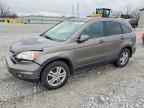 2010 HONDA CR-V
