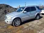 2003 Merz M-Class