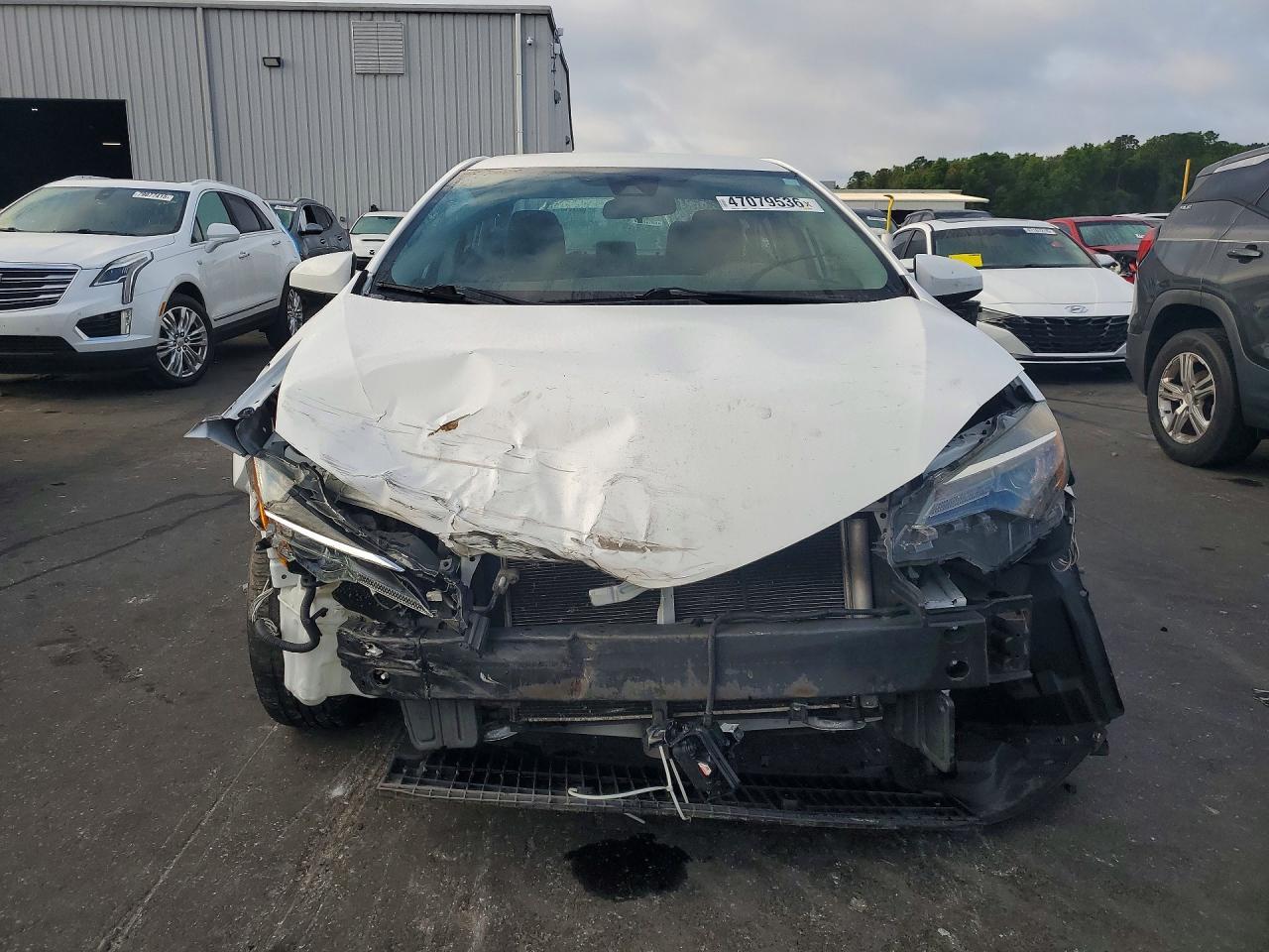 2019 TOYOTA COROLLA