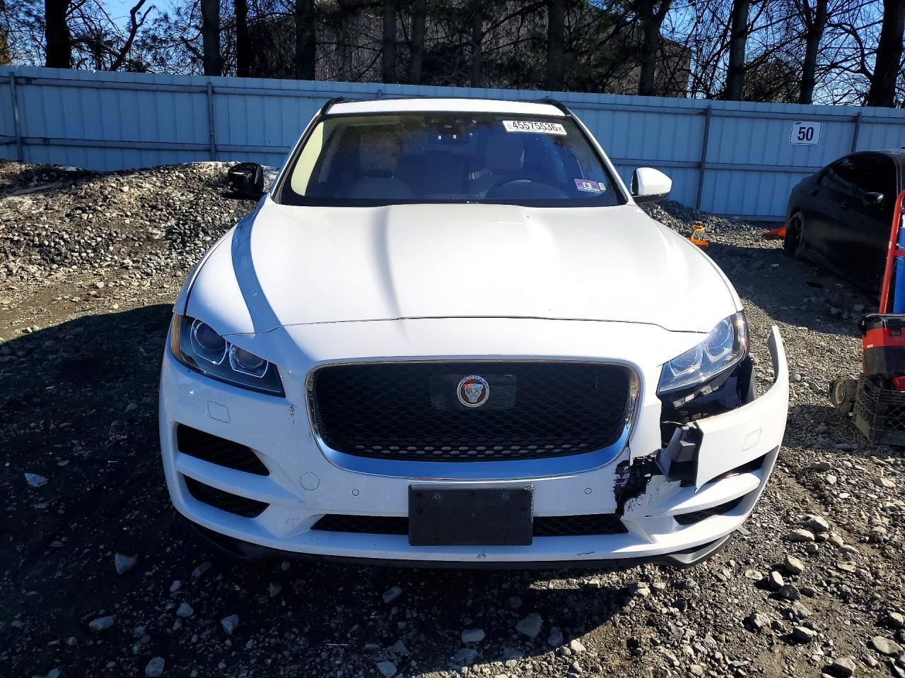 2019 JAGUAR F-Pace