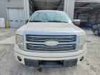 2009 FORD F-150 Lightning
