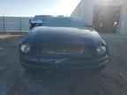 2009 FORD MUSTANG