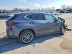 2025 LEXUS NX 350