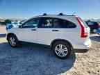 2010 HONDA CR-V
