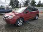 2014 SUBARU FORESTER