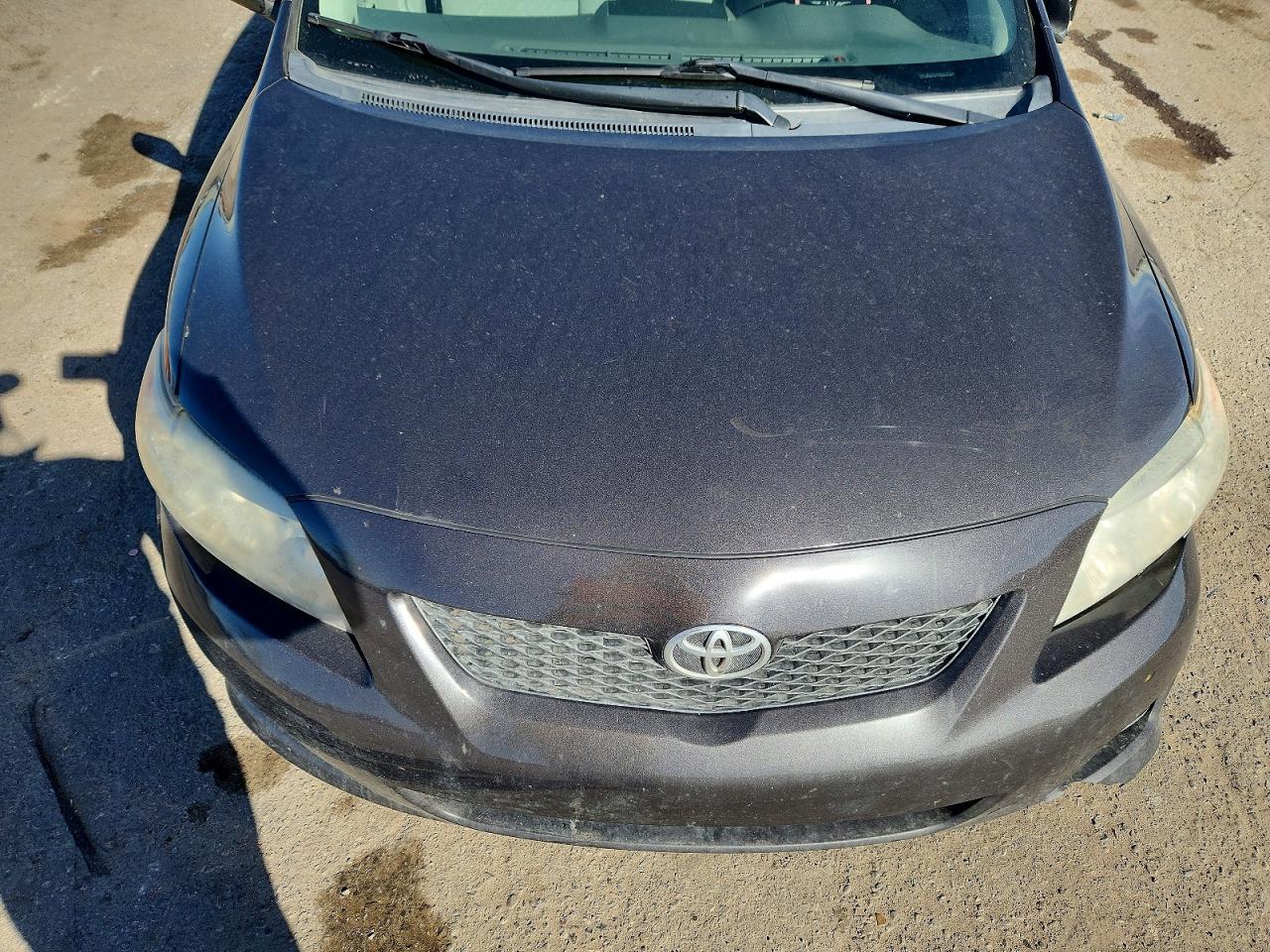 2010 TOYOTA COROLLA