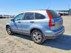 2010 HONDA CR-V