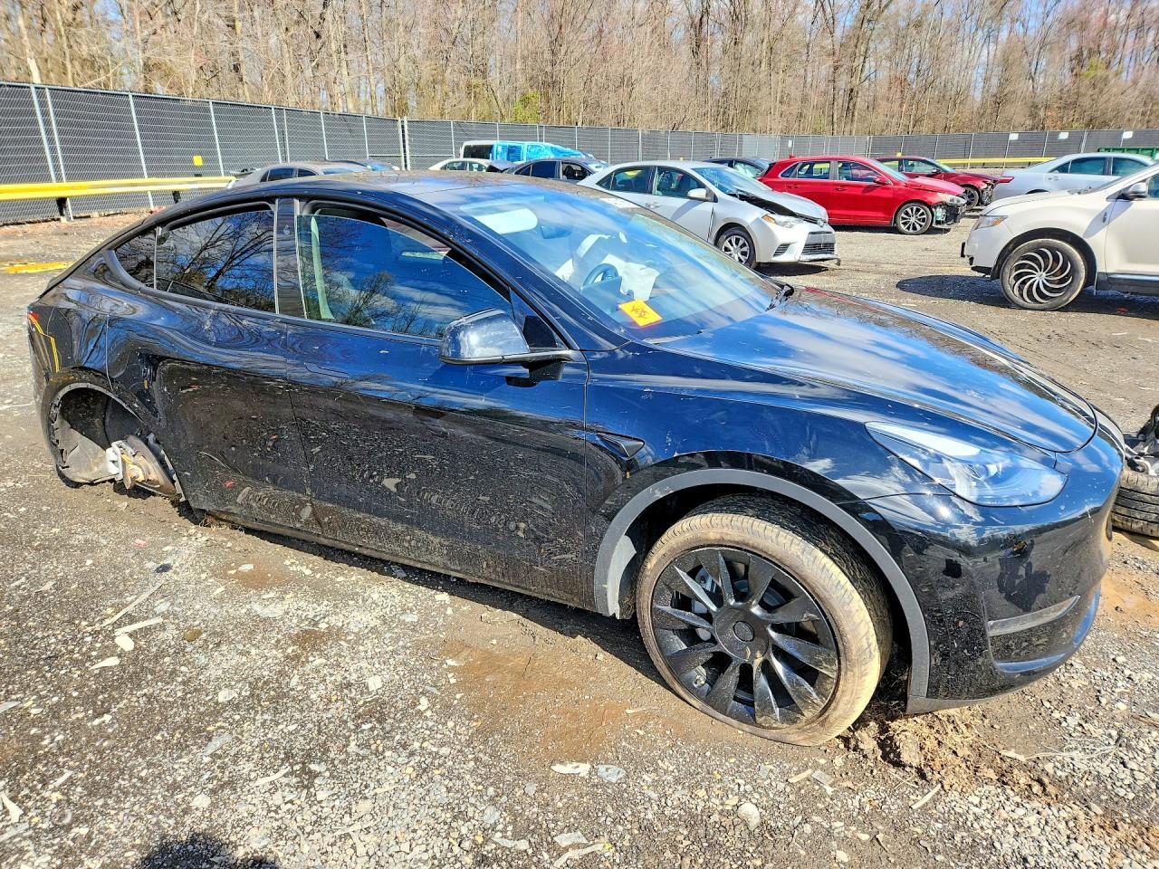 2024 TESLA MODEL Y
