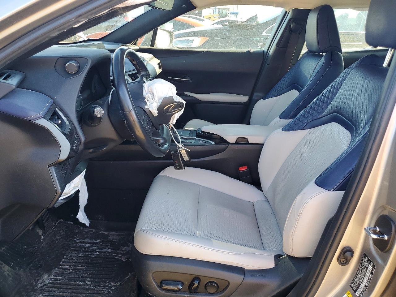 2019 LEXUS UX 250H