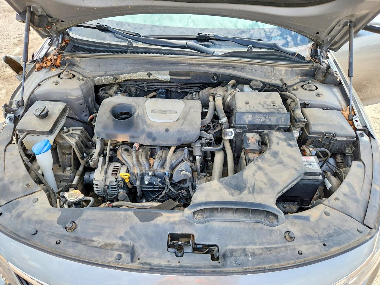 2019 KIA OPTIMA