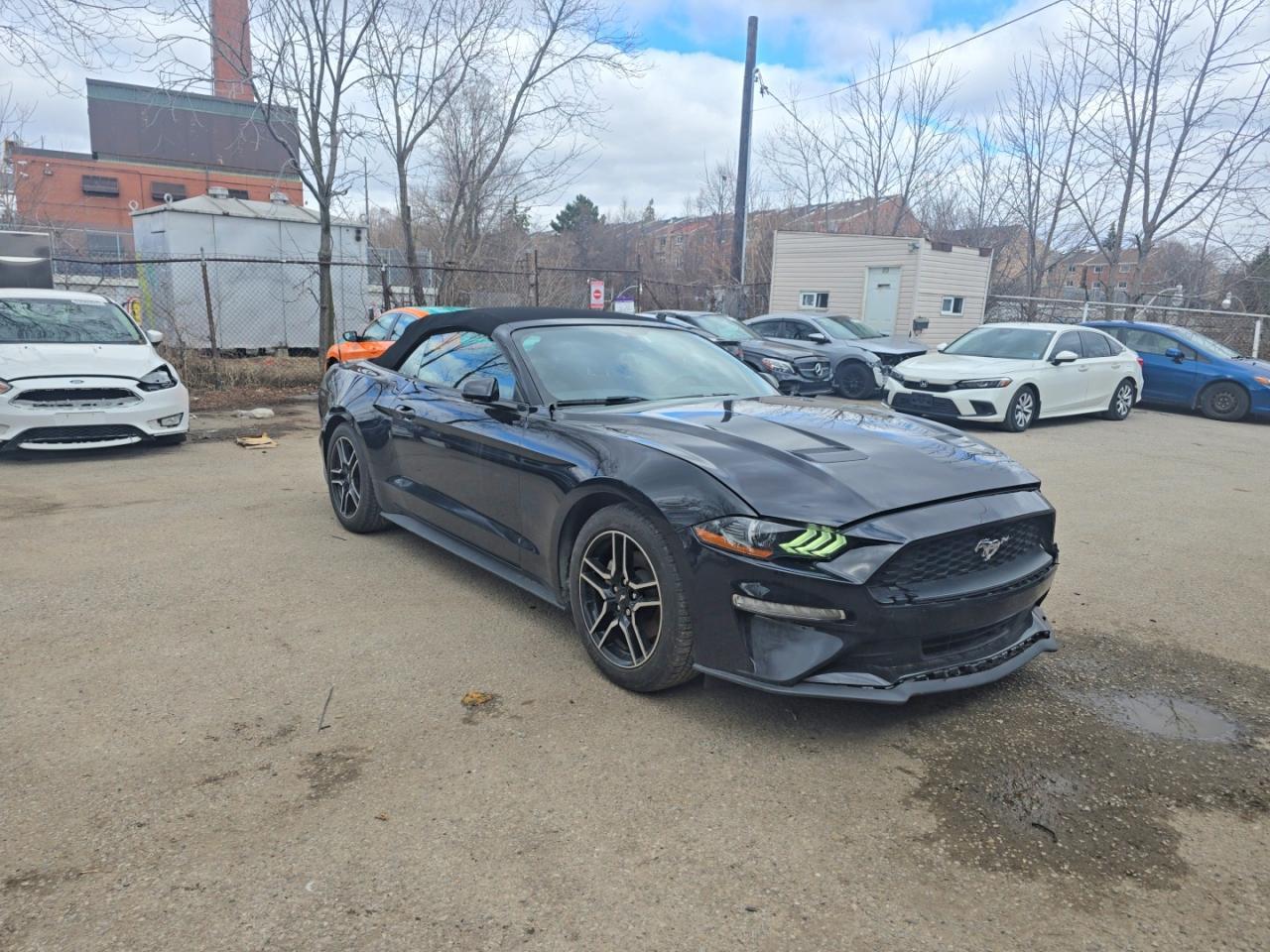 2019 FORD MUSTANG