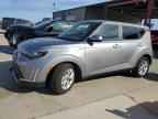 2025 KIA SOUL