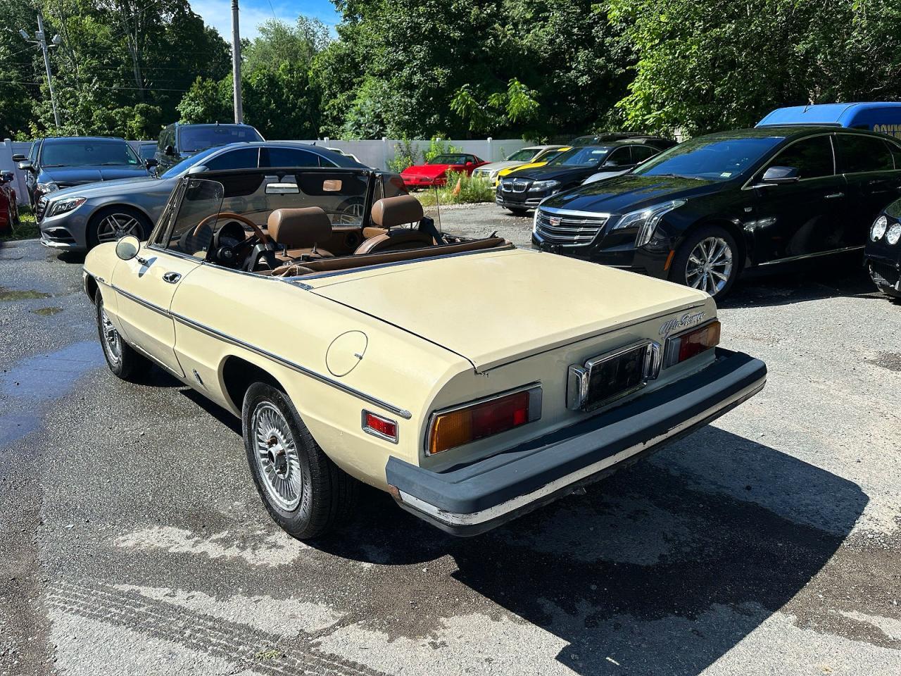 1982 ALFA ROMEO Giulia