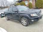 2013 HONDA Ridgeline