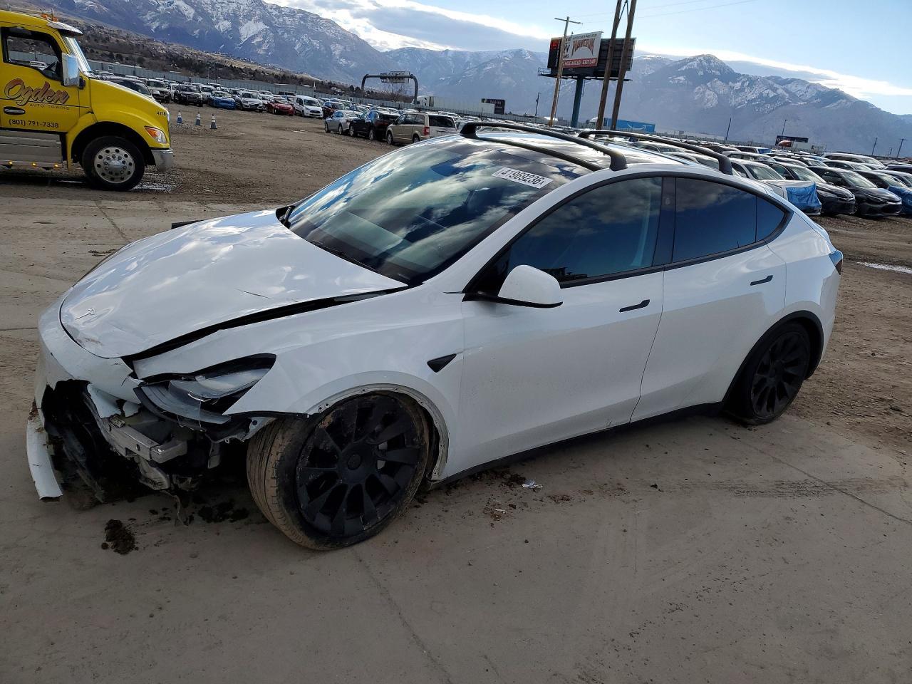 2023 TESLA MODEL Y