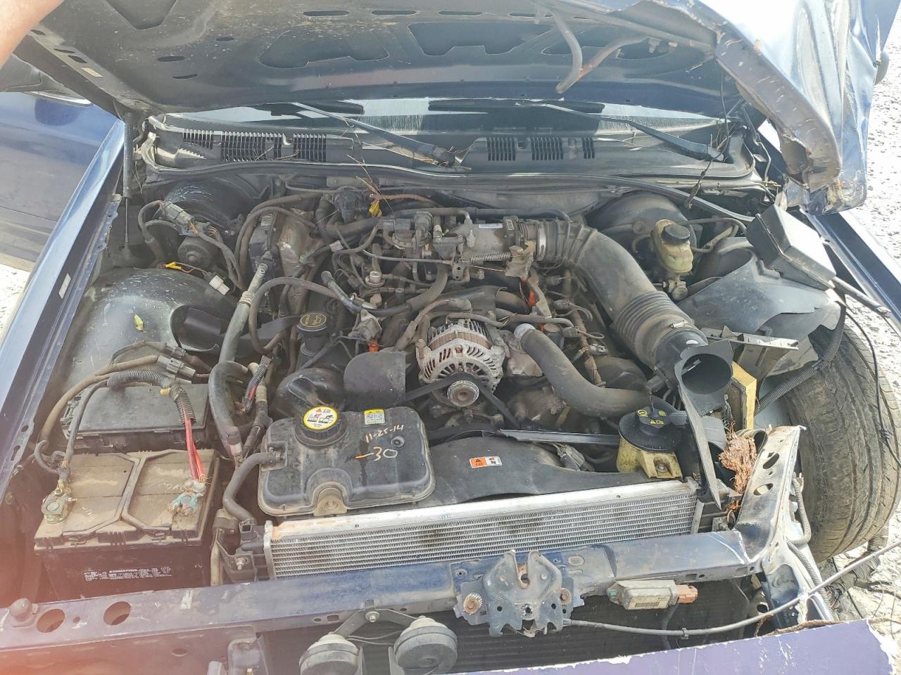 2004 FORD Crown Victoria