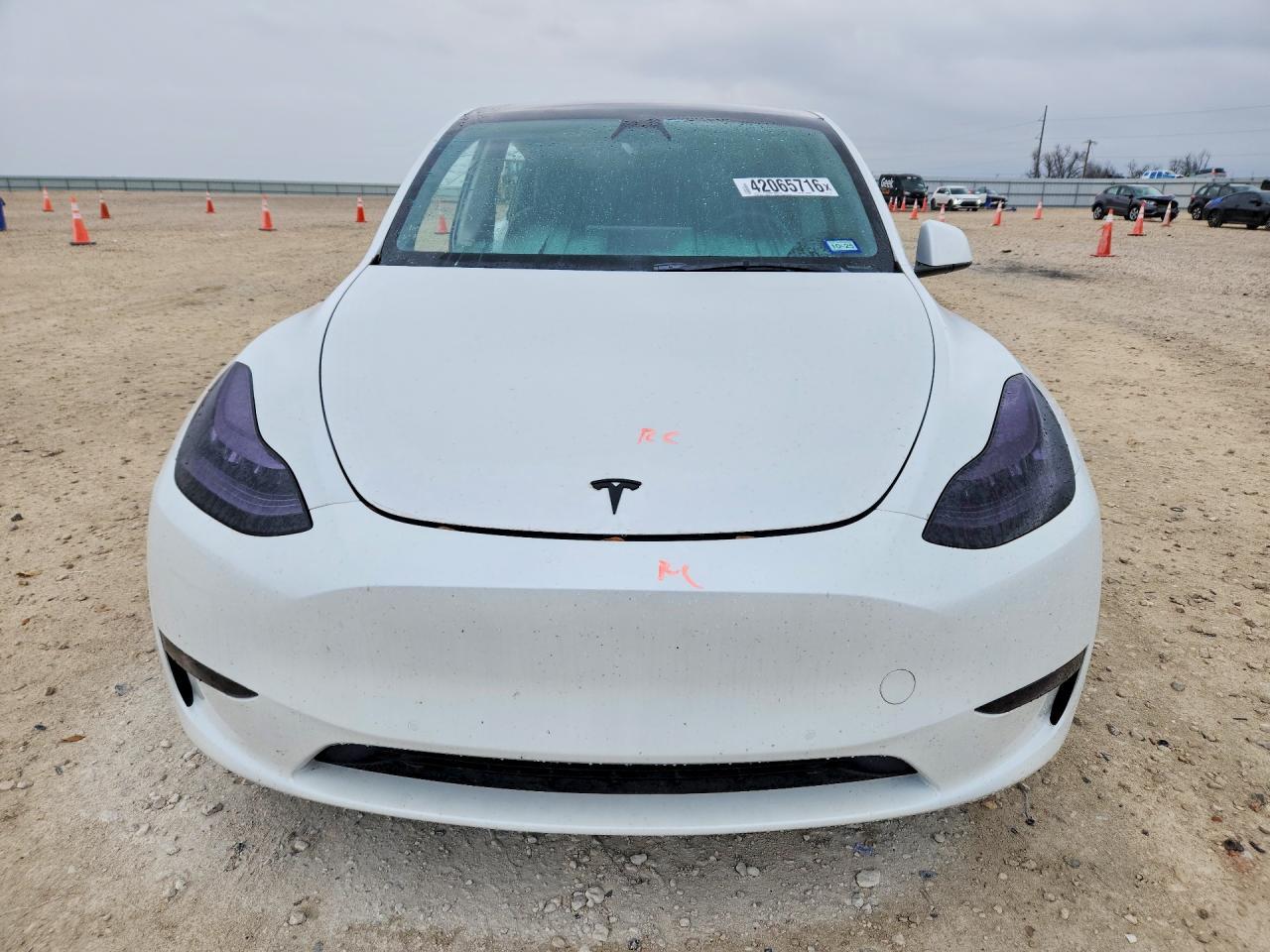 2021 TESLA MODEL Y