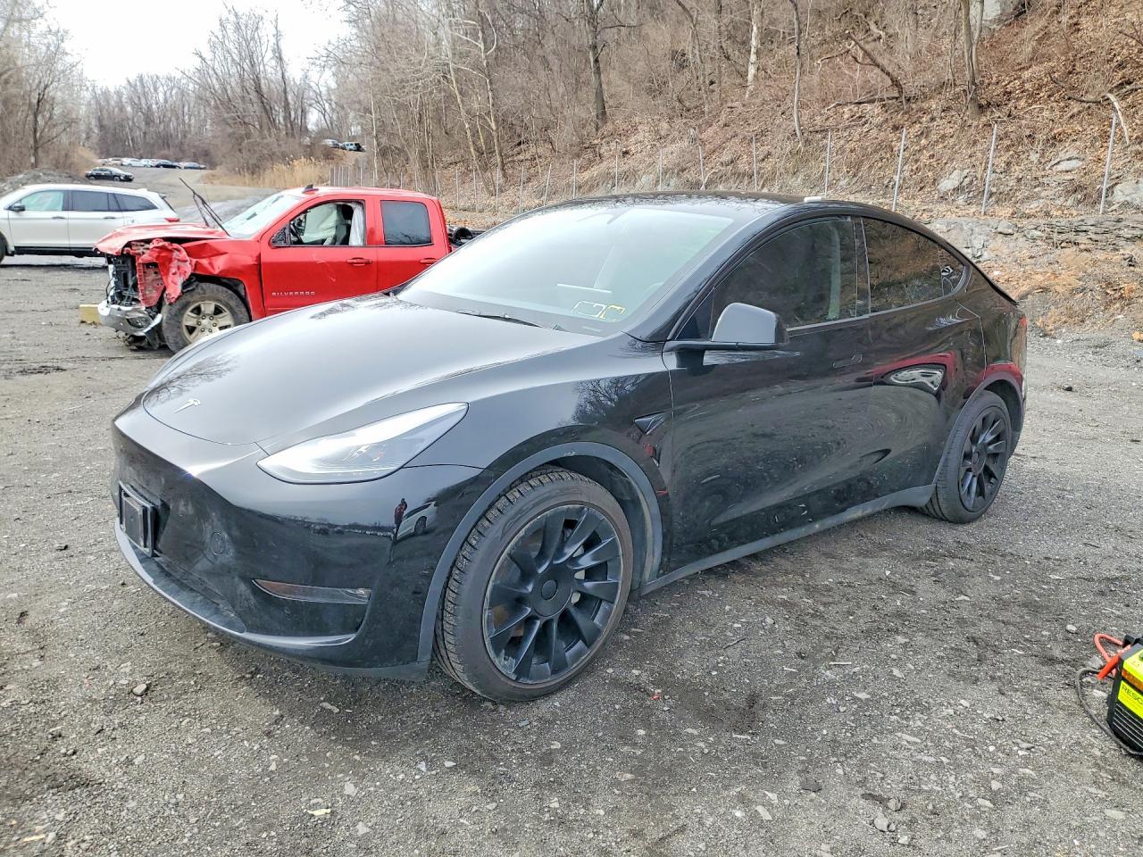 2025 TESLA MODEL Y