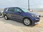 2024 KIA Carnival