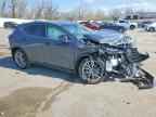 2025 LEXUS NX 350