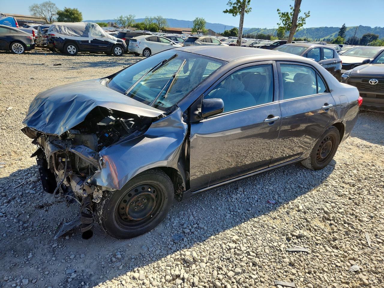 2010 TOYOTA COROLLA