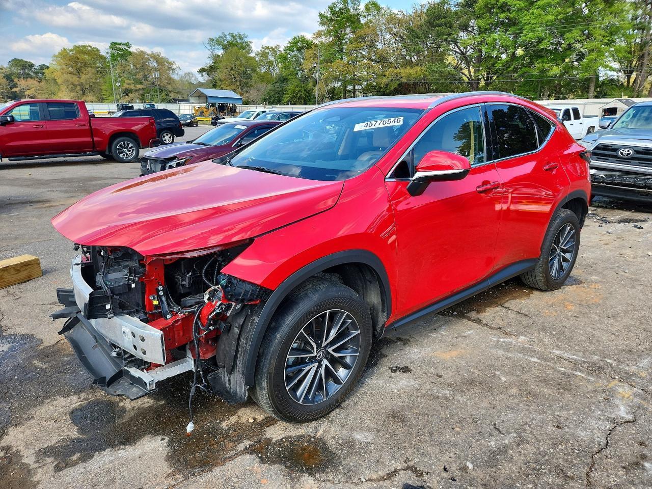 2024 LEXUS NX 250