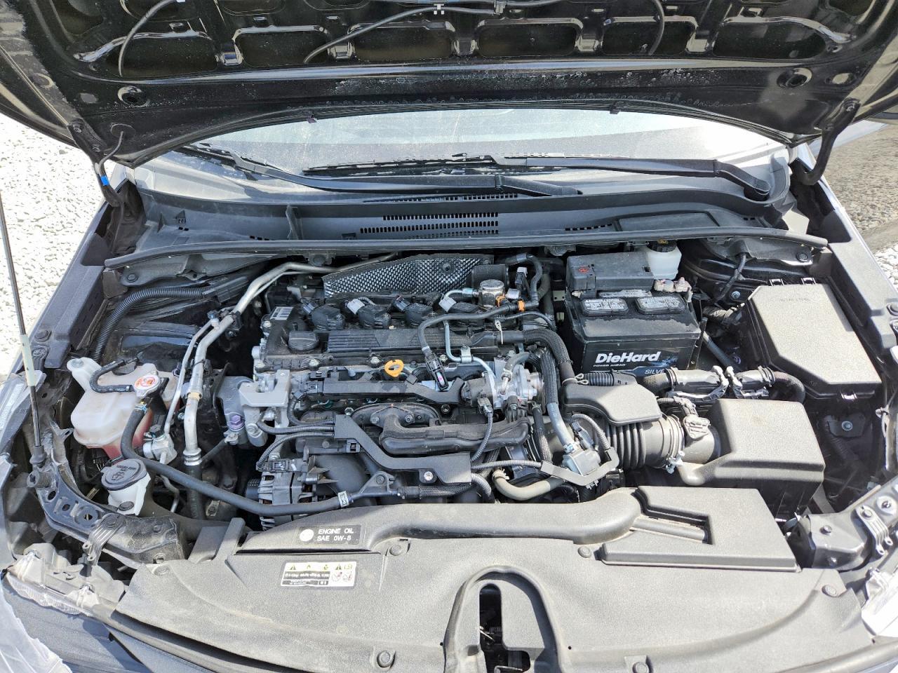 2023 TOYOTA COROLLA