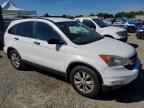 2010 HONDA CR-V