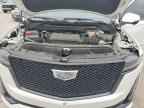 2024 CADILLAC ESCALADE