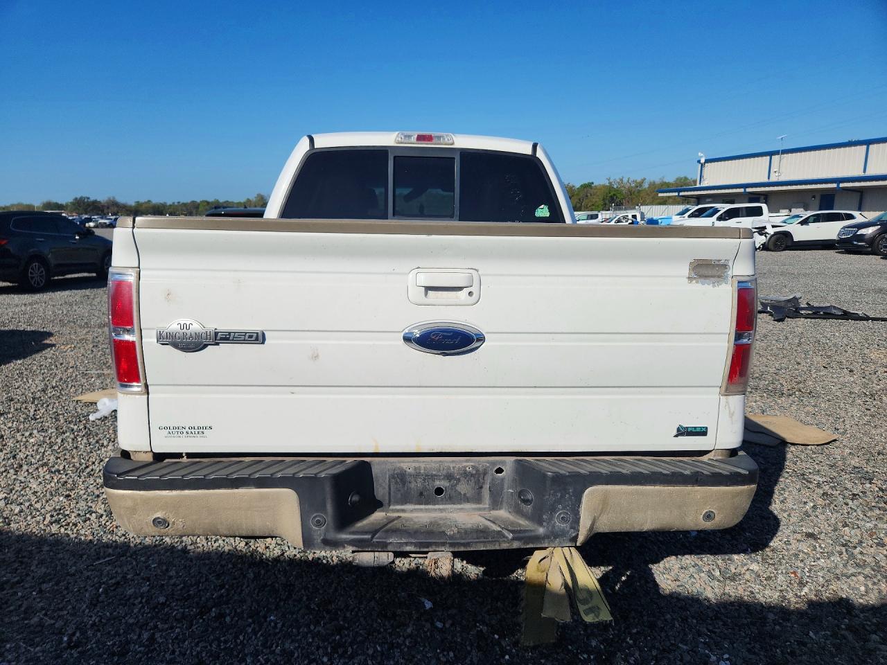 2010 FORD F-150 Lightning