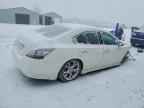 2013 NISSAN Maxima