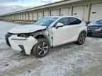 2021 LEXUS NX 300H