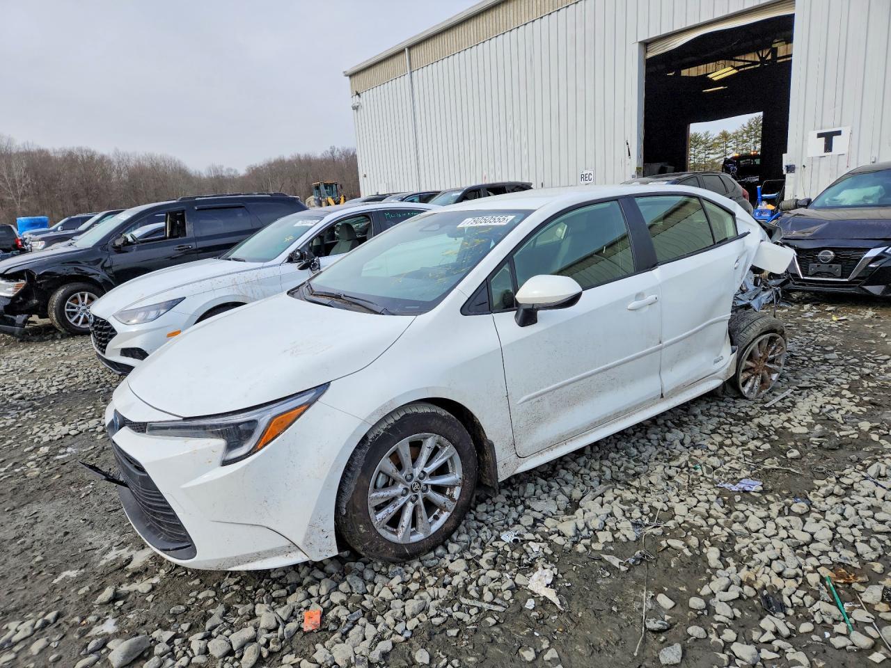 2025 TOYOTA COROLLA