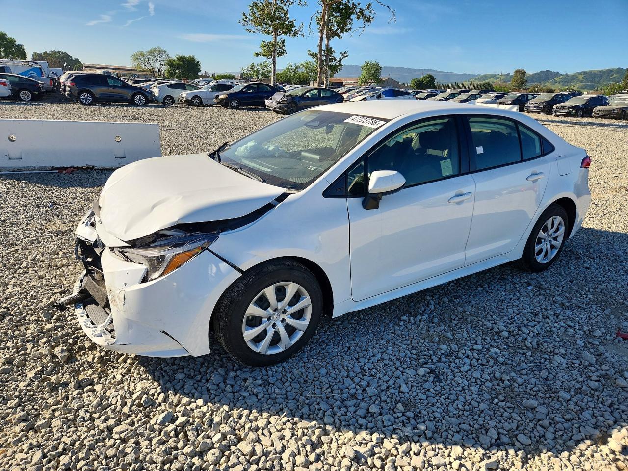 2023 TOYOTA COROLLA
