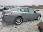 2014 NISSAN Maxima