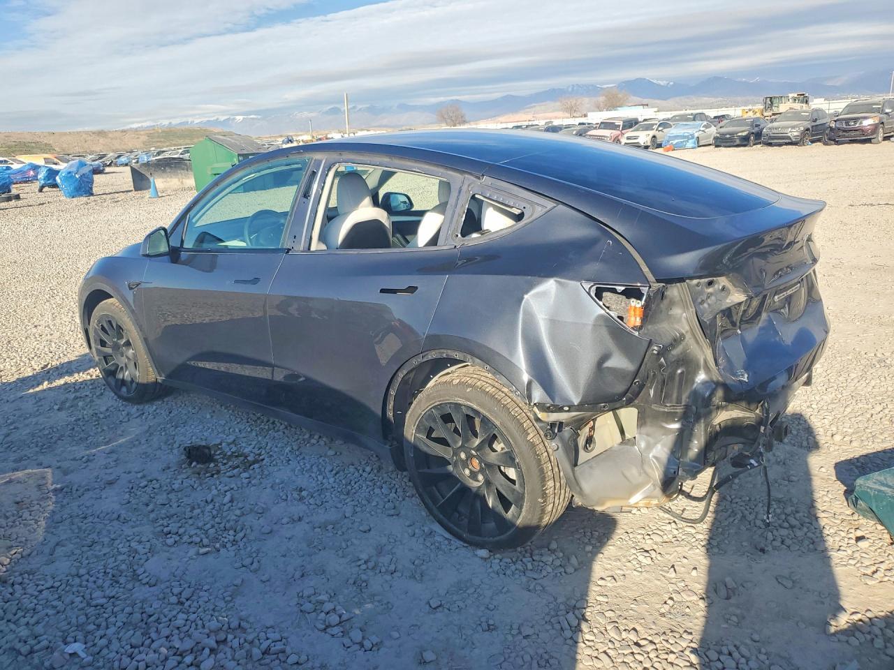 2023 TESLA MODEL Y