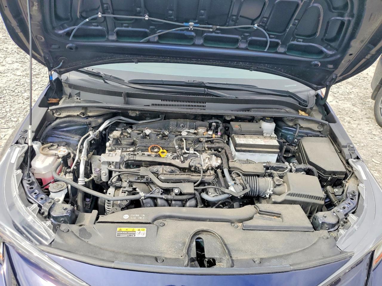 2023 TOYOTA COROLLA