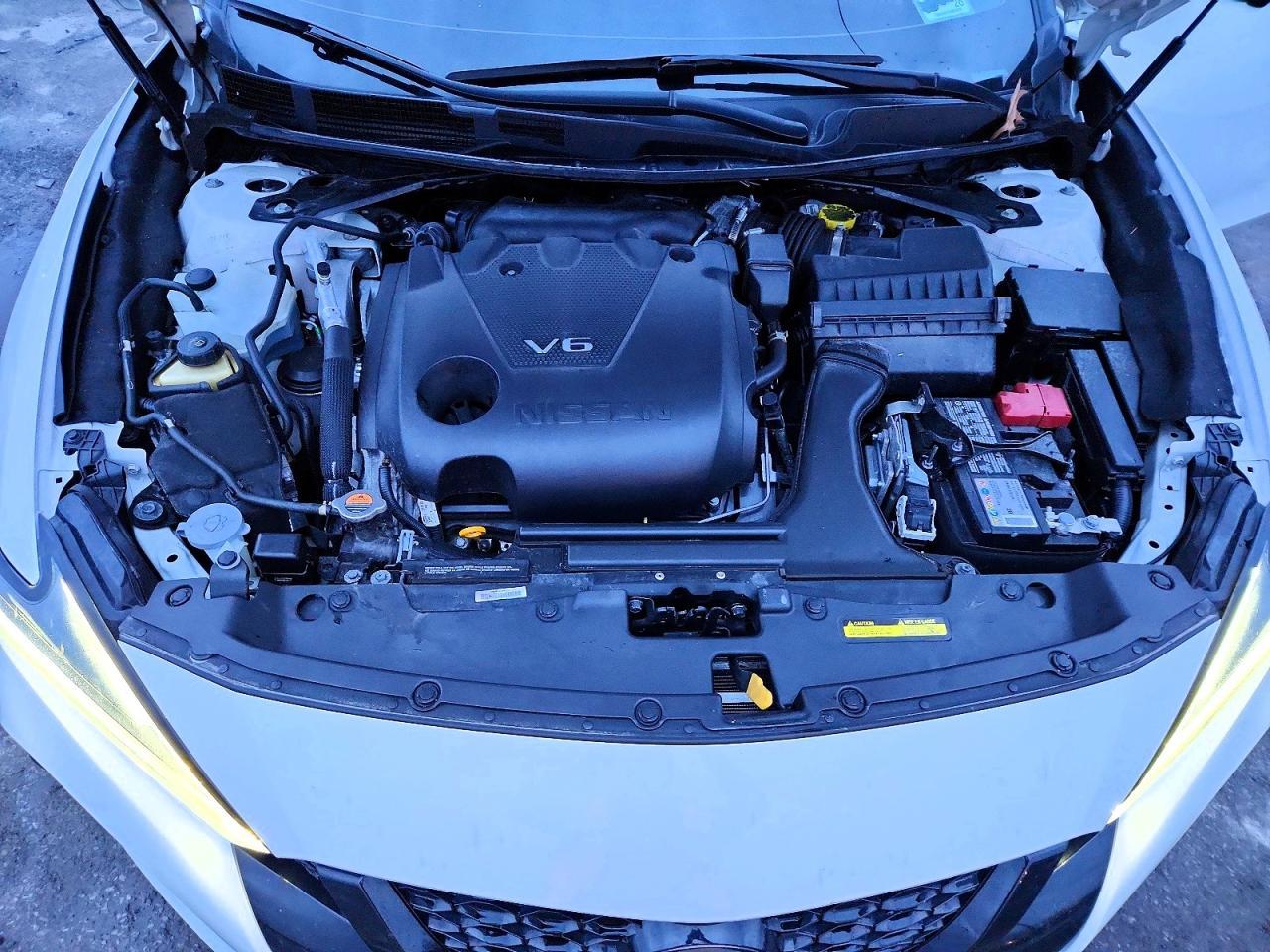 2023 NISSAN Maxima