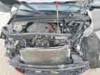 2024 KIA Carnival