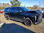 2025 CADILLAC ESCALADE